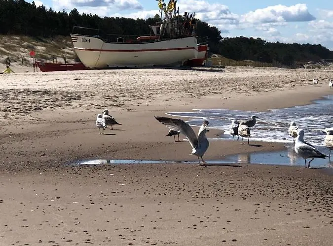 Letniskowe Bursztynek Z Basenem Σαλέ *