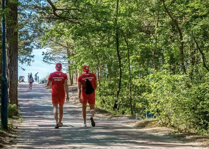 Alpesi faház Letniskowe Bursztynek Z Basenem